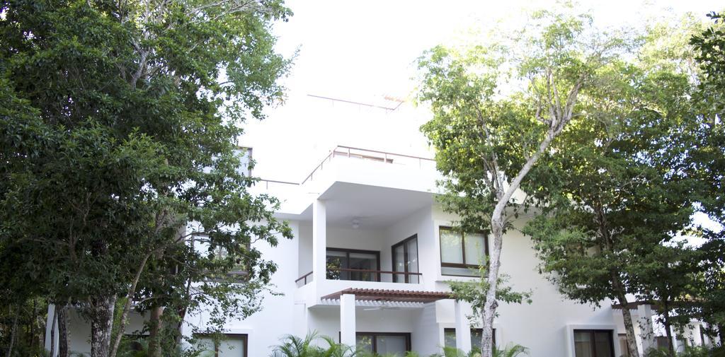 Tao Luxury Condo Mexico อากุมัล ภายนอก รูปภาพ